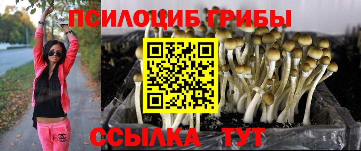 Псилоцибиновые грибы Psilocybine cubensis  Вход с VPN  Уварово 