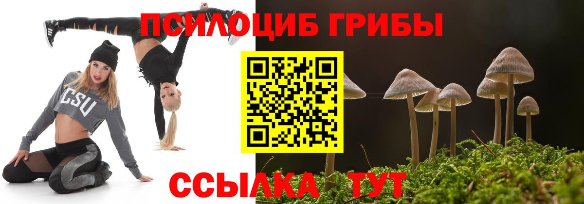 Псилоцибиновые грибы Cubensis Уварово